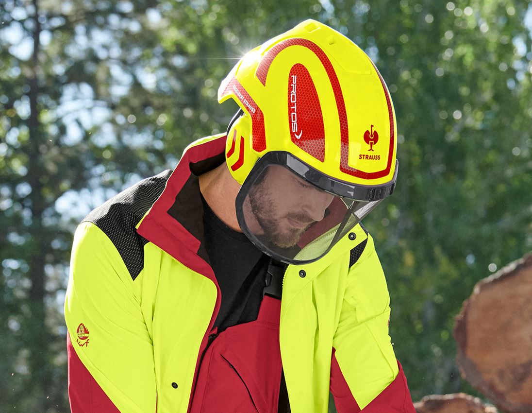 Hard Hats: e.s. Forestry helmet Protos® + high-vis yellow/fiery red