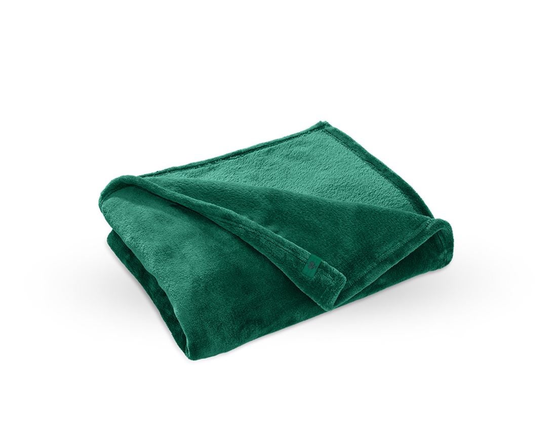 Accessories: e.s. Fleece blanket + green