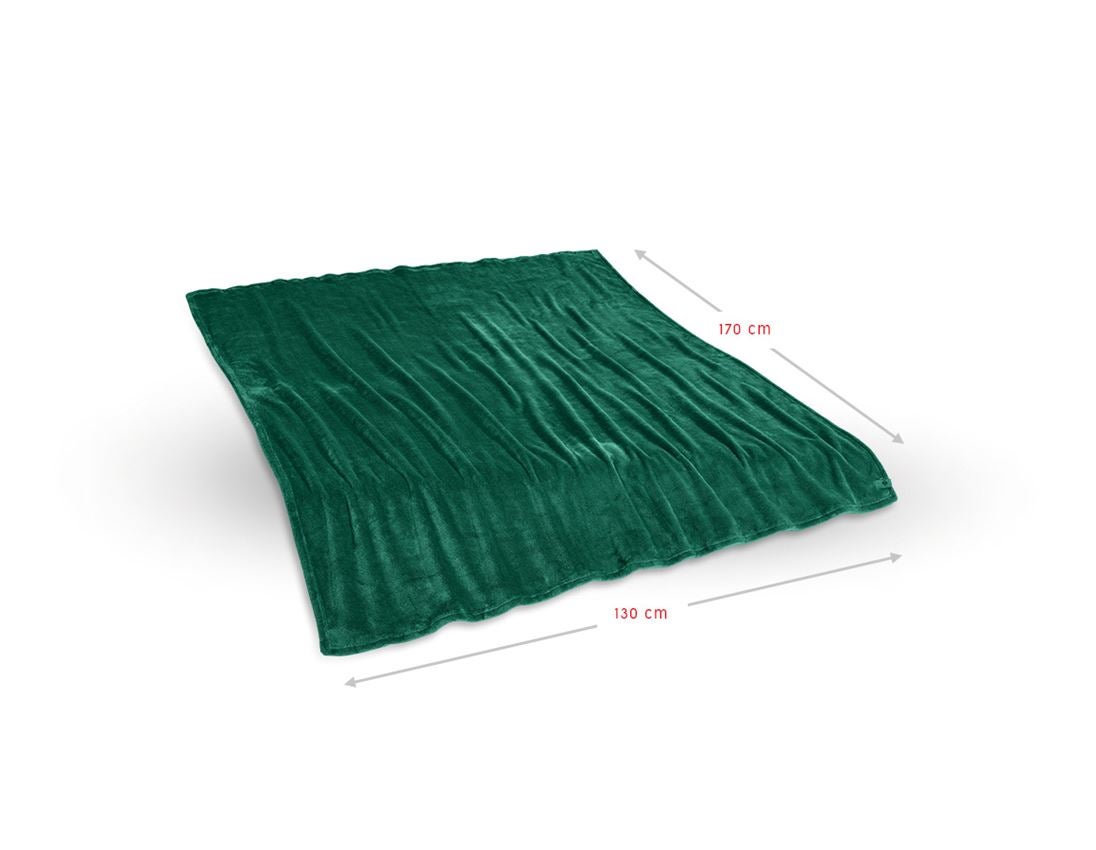 Accessories: e.s. Fleece blanket + green 1