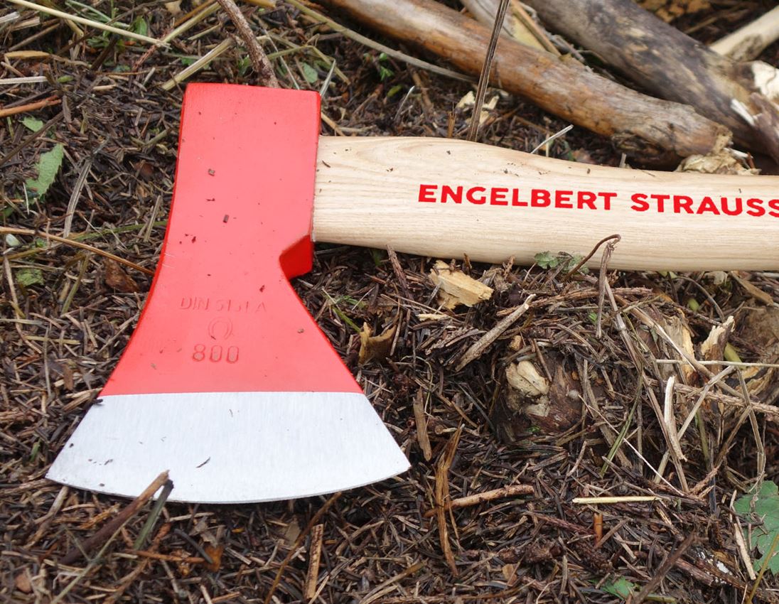 Forestry tools: e.s. Universal hatchet professional 2