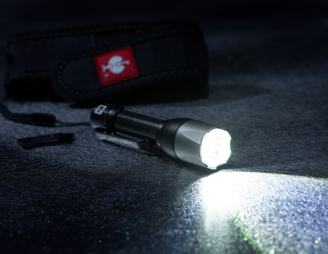 Lamps | lights: e.s. LED torch FL4+