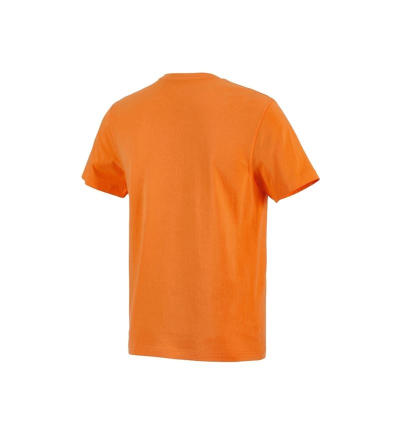 Shirts, Pullover & more: e.s. T-shirt cotton + orange 2