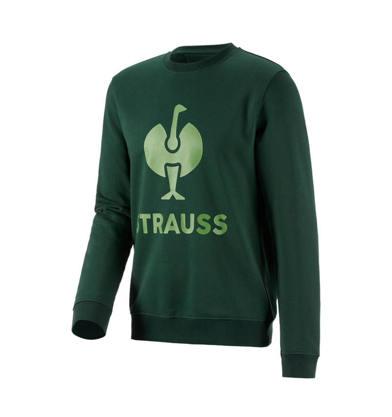 Shirts & Co.: Sweatshirt e.s.motion 2020 + grün/seegrün 2