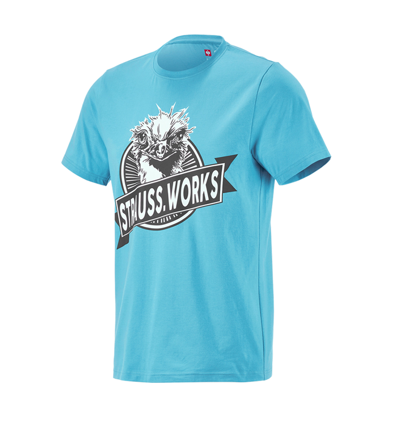 Clothing: e.s. T-shirt strauss works + lapisturquoise 3