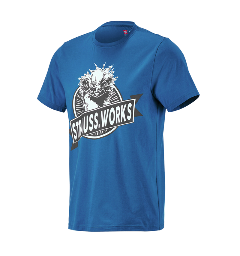 Clothing: e.s. T-shirt strauss works + gentianblue