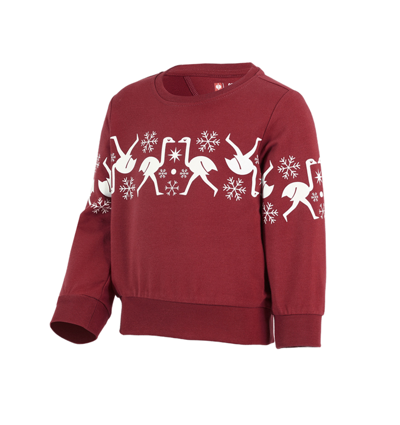 Accessories: e.s. Norwegian sweatshirt, children's + burgundy 2