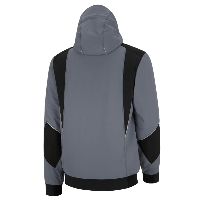 Gardening / Forestry / Farming: Winter functional jacket e.s.dynashield + cement/black 3