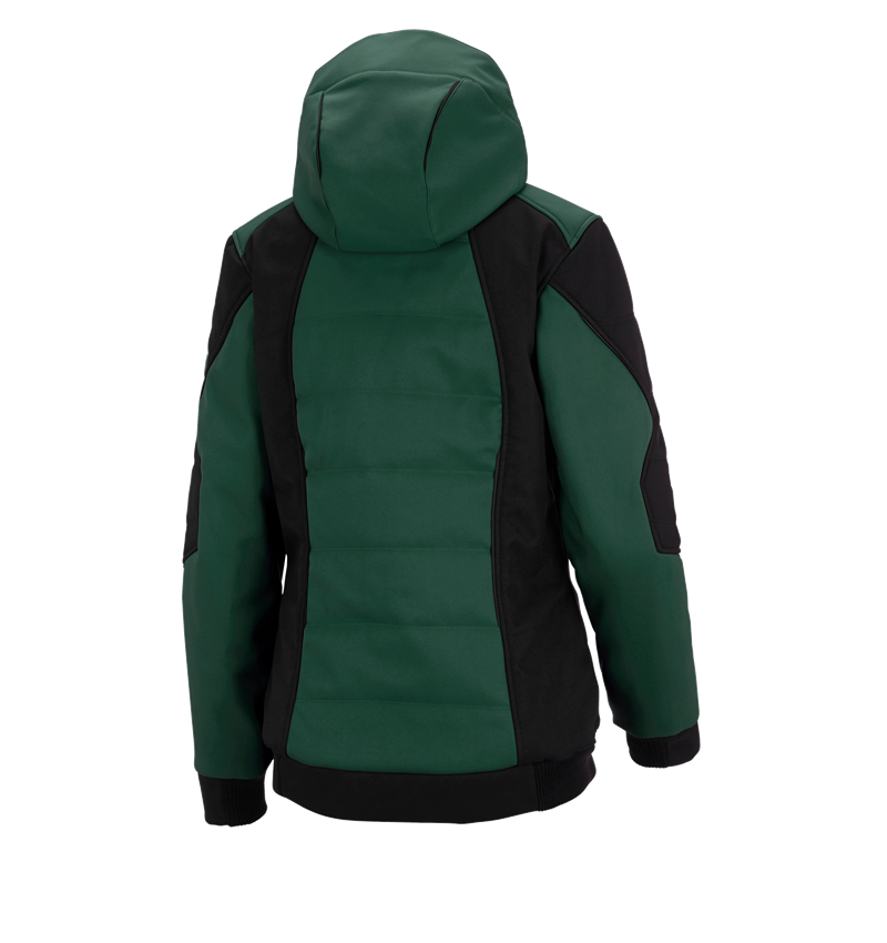 Cold: Winter softshell jacket e.s.vision, ladies' + green/black 3