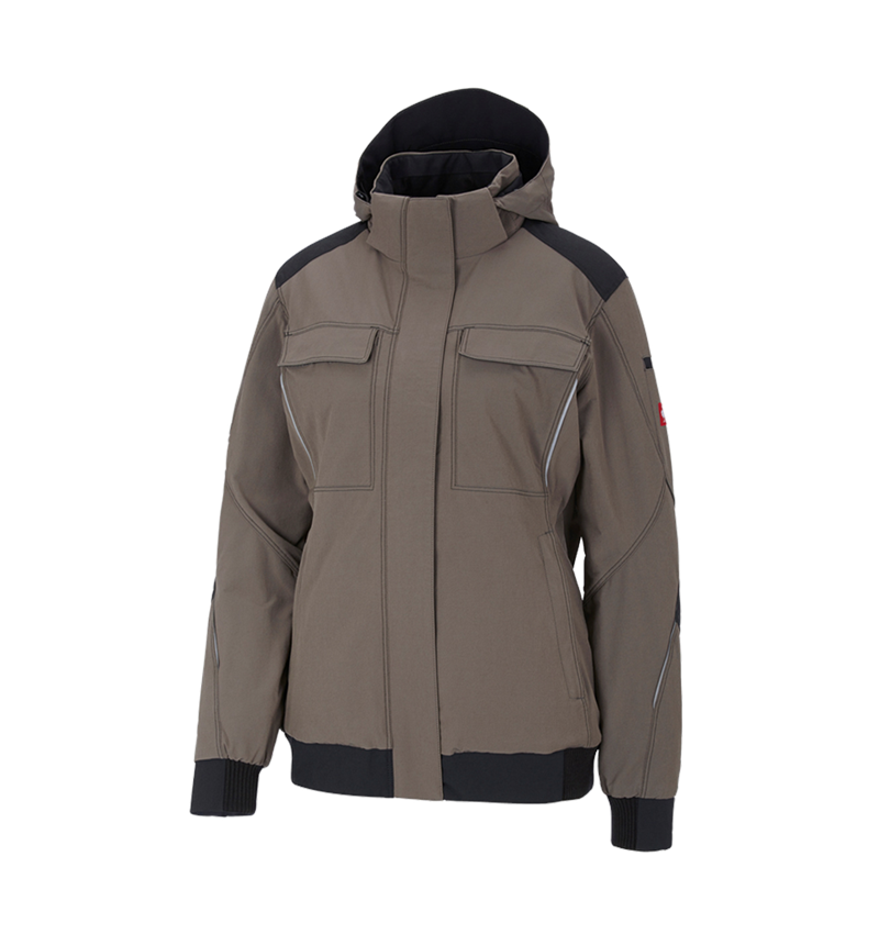Gardening / Forestry / Farming: Winter functional jacket e.s.dynashield, ladies' + stone/black 2