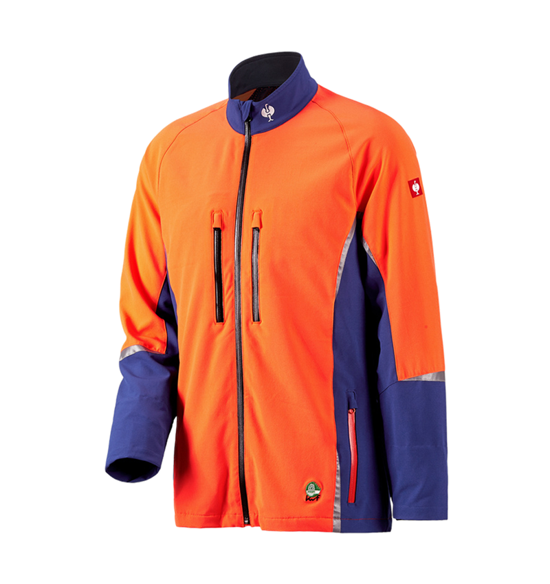 Forestry / Cut Protection Clothing: e.s. Forestry jacket, KWF + royal/high-vis orange 2