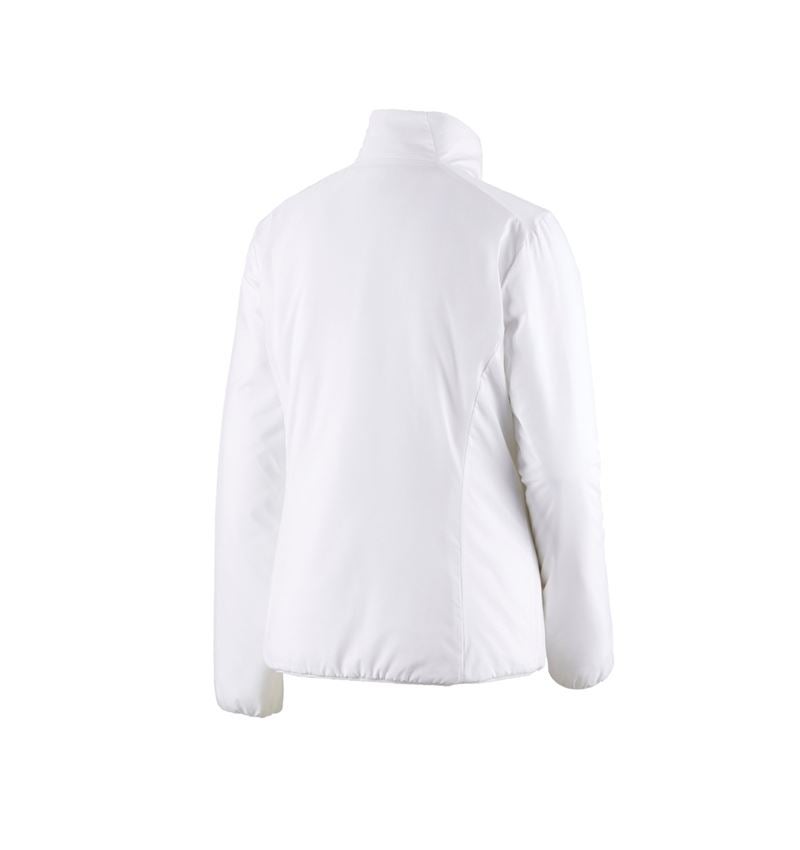 Work Jackets: e.s. Padded jacket CI, ladies' + white 3