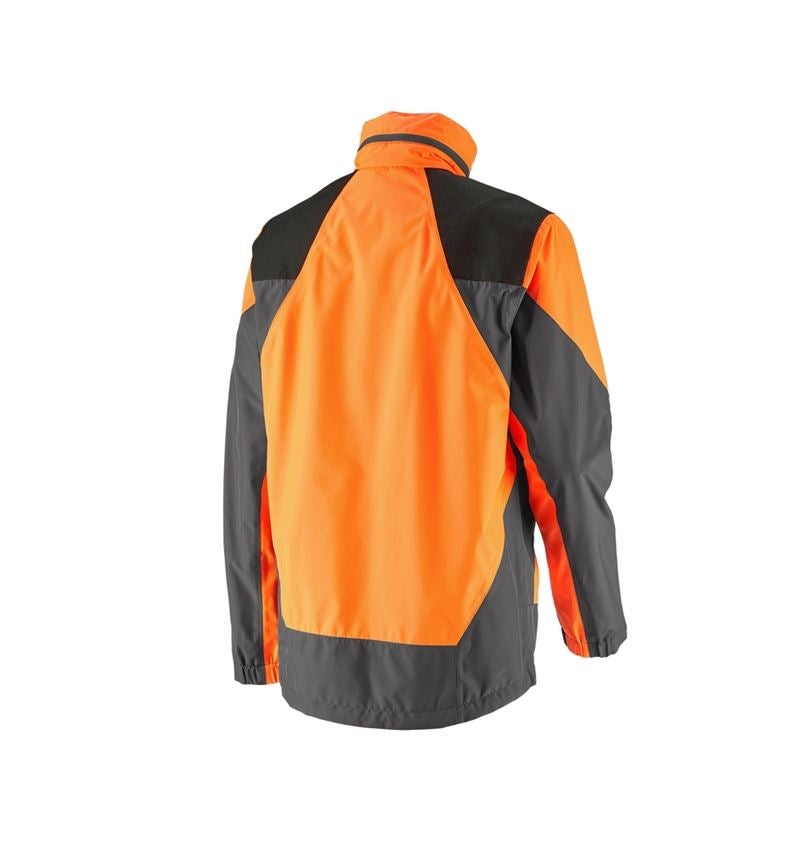 Work Jackets: e.s. Forestry rain jacket + high-vis orange/carbongrey 3