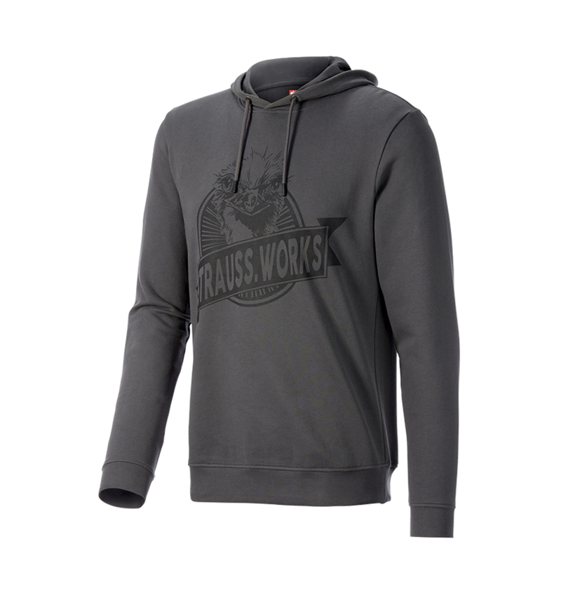 Shirts & Co.: Hoody-Sweatshirt e.s.iconic works + carbongrau 3
