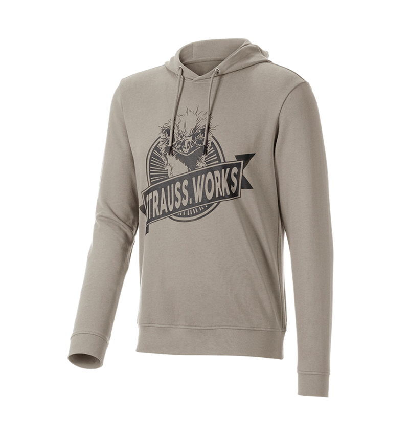 Vêtements: Hoody sweatshirt e.s.iconic works + gris dauphin 4