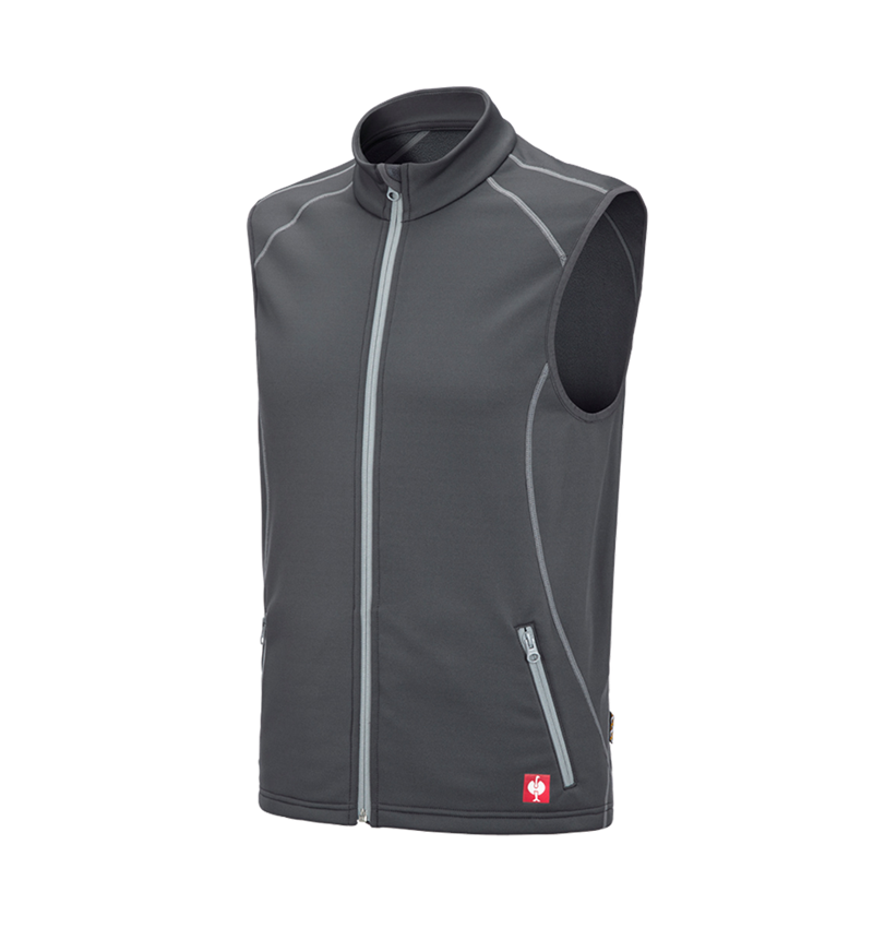 Menuisiers: Gilet thermo stretch e.s.motion 2020 + anthracite/platine 2