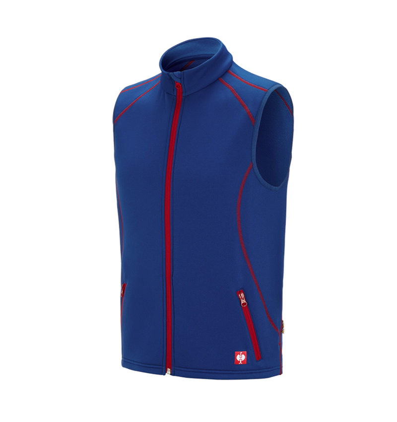 Gardening / Forestry / Farming: Function bodywarmer thermo stretch e.s.motion 2020 + royal/fiery red 2
