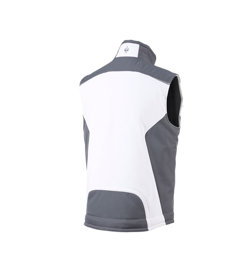 Froid: Gilet Softshell e.s.motion + blanc/gris 3