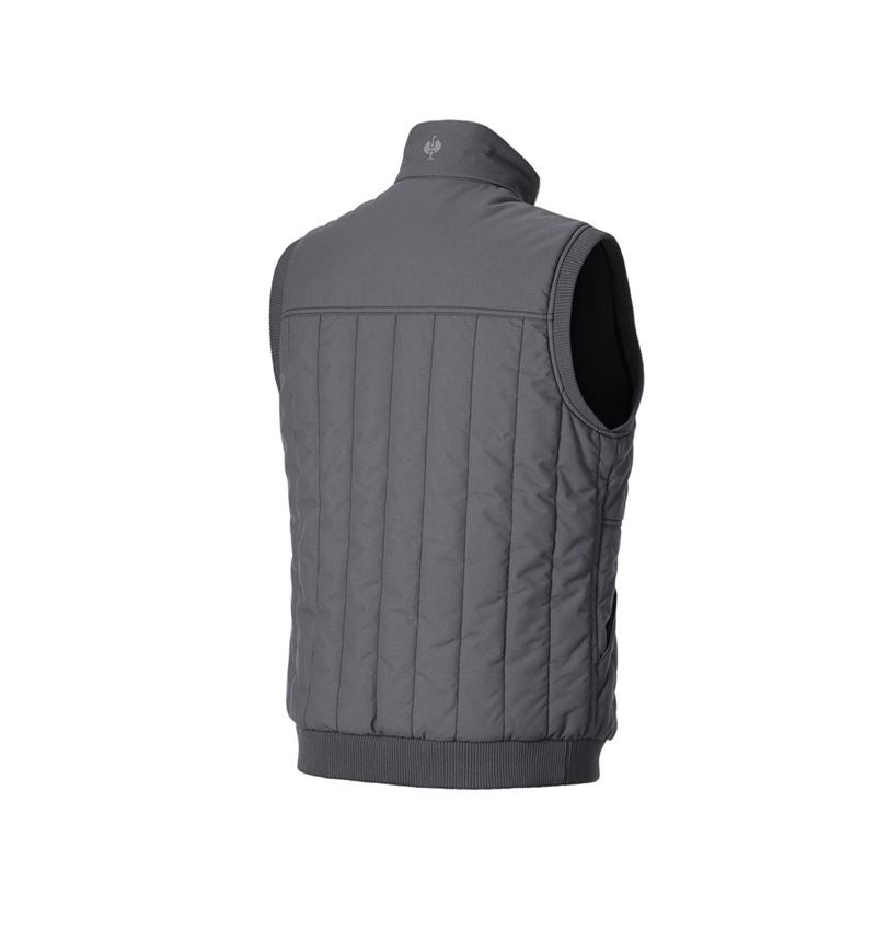 Work Body Warmer: Bodywarmer e.s.iconic + carbongrey 6