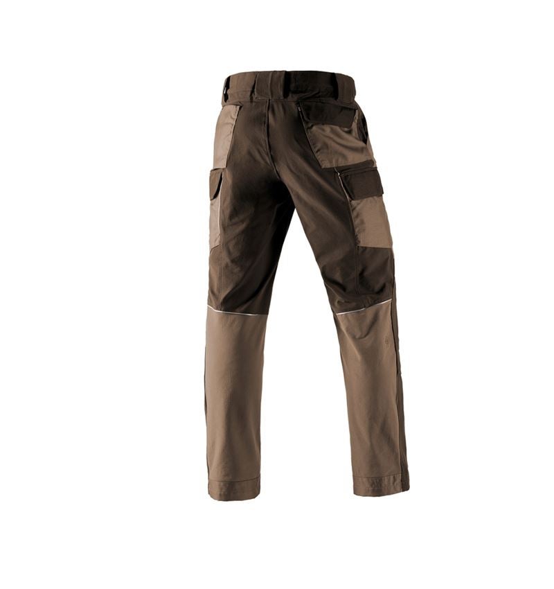 Work Trousers: Functional cargo trousers e.s.dynashield + hazelnut/chestnut 3