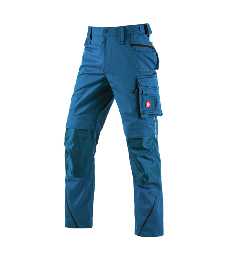 Gardening / Forestry / Farming: Trousers e.s.motion 2020 + atoll/navy 2