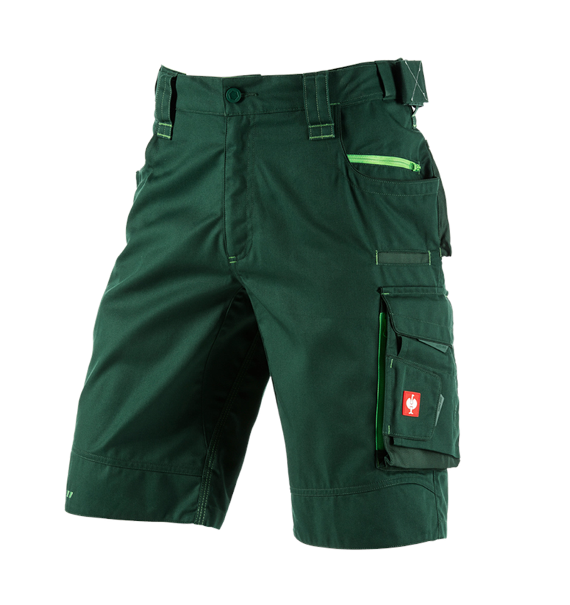 Work Trousers: Shorts e.s.motion 2020 + green/seagreen 2