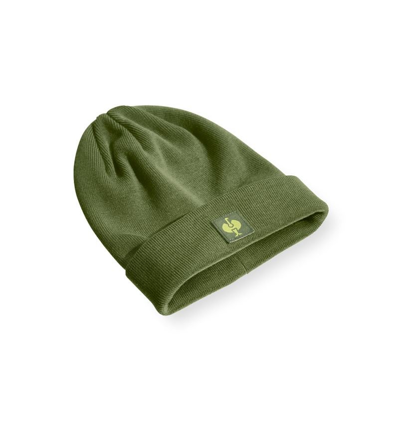 Accessories: Knitted cap e.s.iconic + mountaingreen