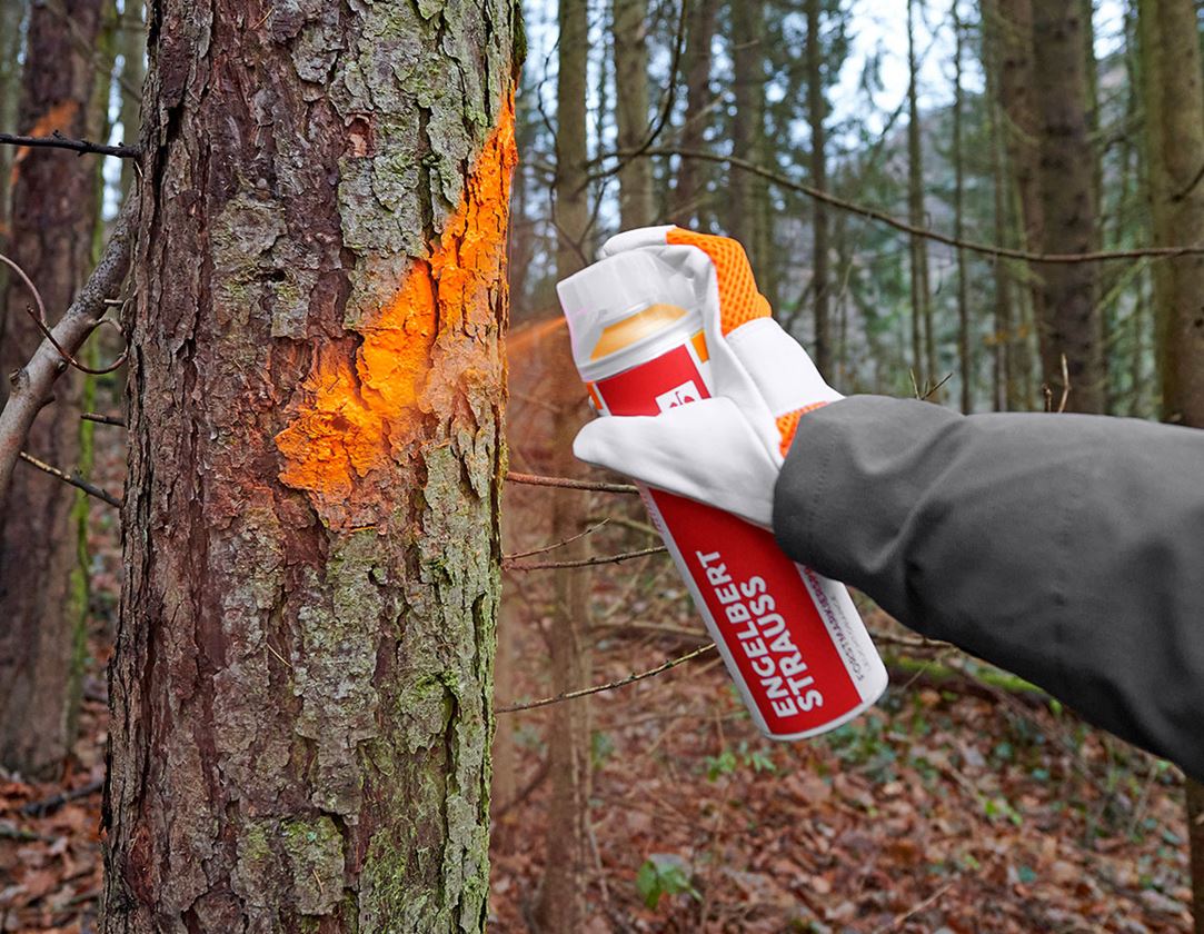 Sprays: e.s. Forestry marking spray Neon #67 + fluorescent orange 1