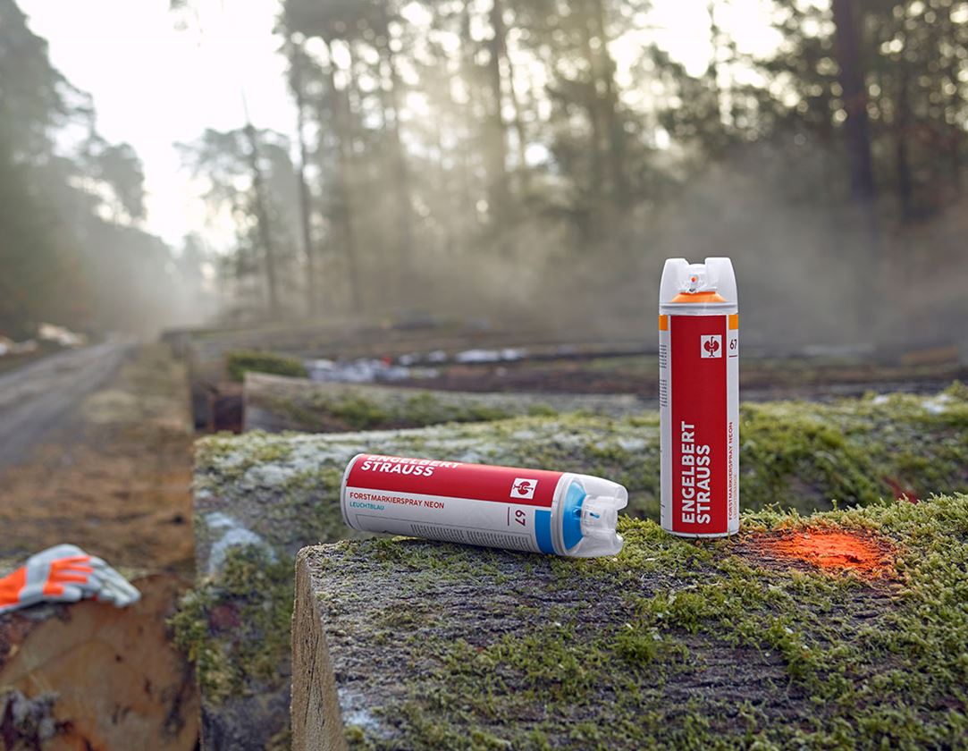 Sprays: e.s. Spray de marquage forestier Strong #68 + rouge