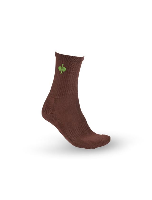 Socks: e.s. Allround socks Classic light/high + chestnut/seagreen
