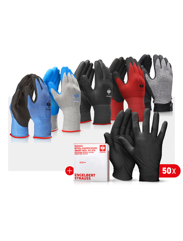 Kits | Accessoires: Kit de gants professionnels automobile III