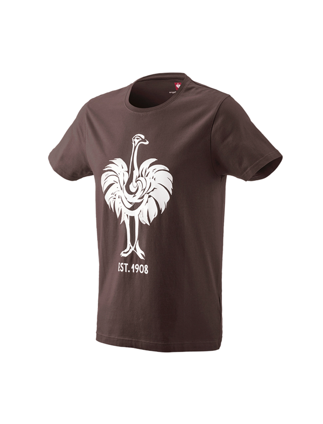 Shirts, Pullover & more: e.s. T-shirt 1908 + chestnut/white