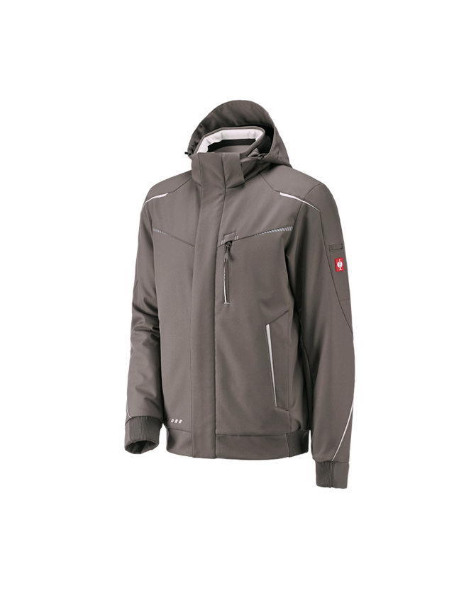Work Jackets: Winter softshell jacket e.s.motion 2020, men's + stone/plaster 2