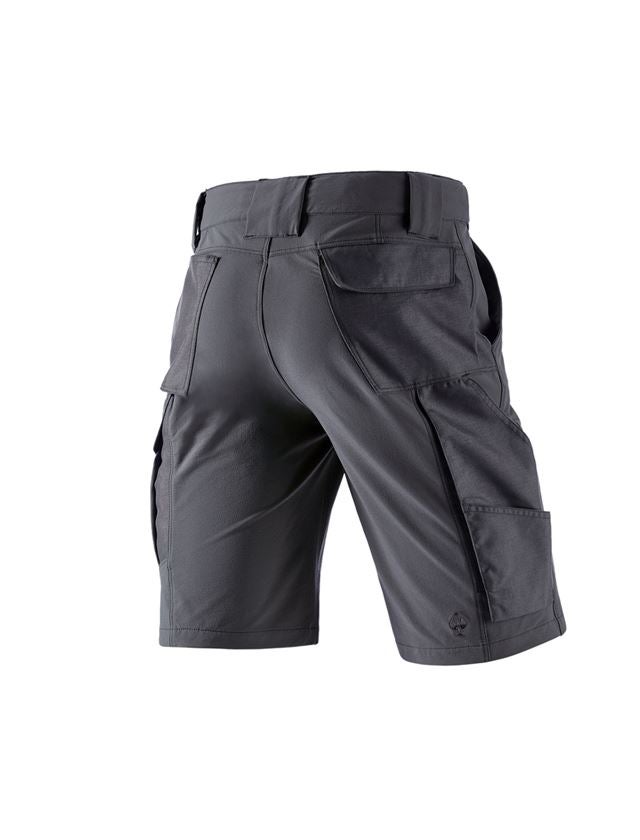 Work Trousers: Functional short e.s.dynashield solid + anthracite 3