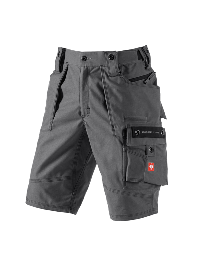 Work Trousers: Shorts e.s.roughtough + titanium 2