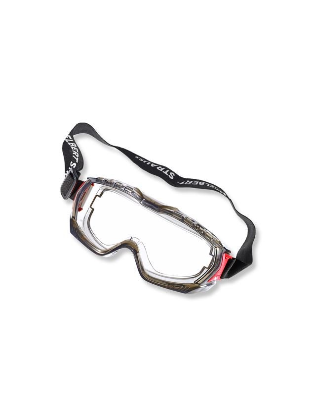 Schutzbrillen: e.s. Schutzbrille Odas + klar