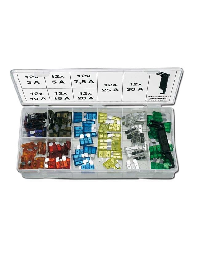 Assorted small parts: Range of motor vehicle fuses