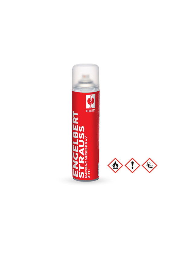 Shoe Care Products: e.s. Impregnation spray 3 in 1