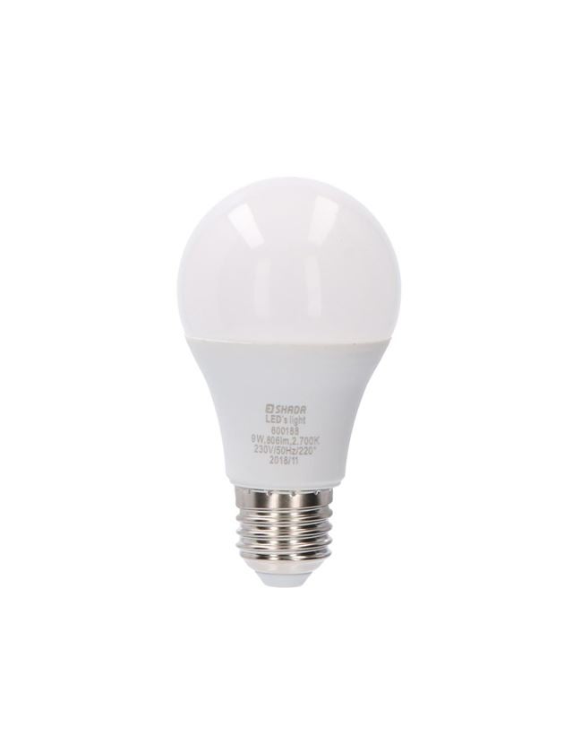 Lamps | lights: LED lamp Classic