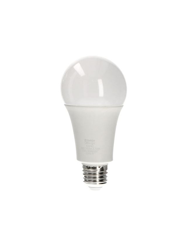 Lamps | lights: LED lamp Classic