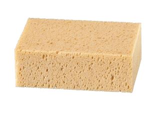 Tile Sponge